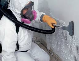 Best Water Damage & Mold Remediation in Glen Rose, TX